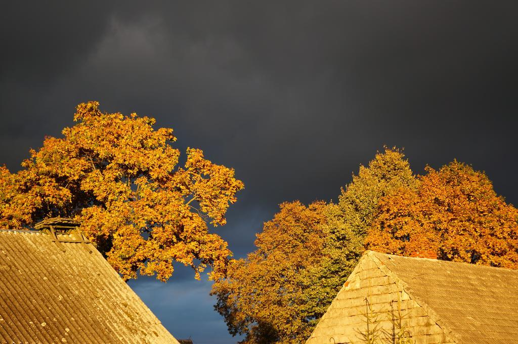 Przystanek Rospuda Villa Sucha Wies Dış mekan fotoğraf