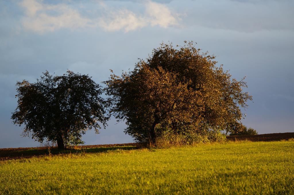 Przystanek Rospuda Villa Sucha Wies Dış mekan fotoğraf